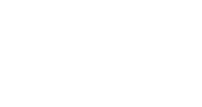 Fronius System Partner logo
